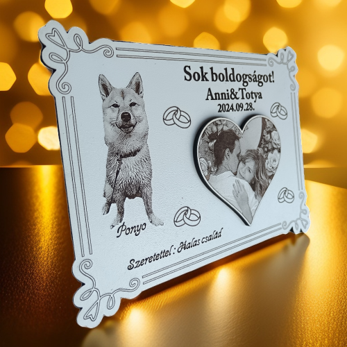 Pénzátadó tábla