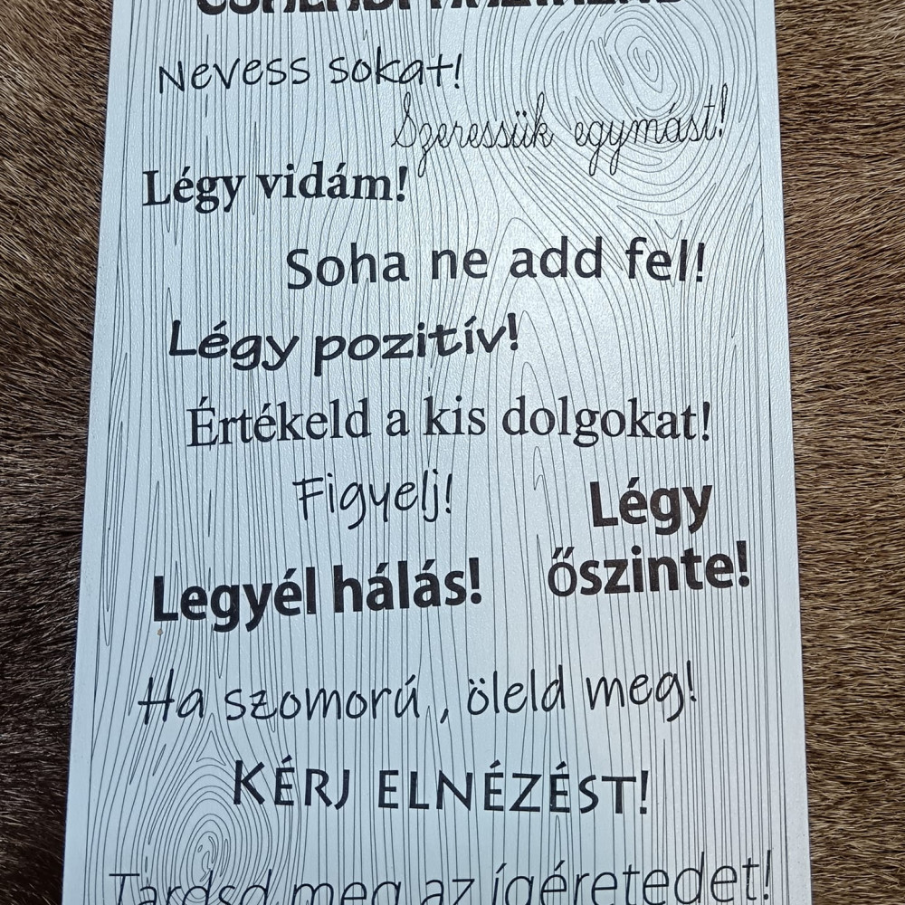 Családi házirend