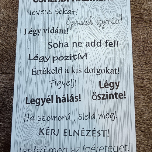 Családi házirend