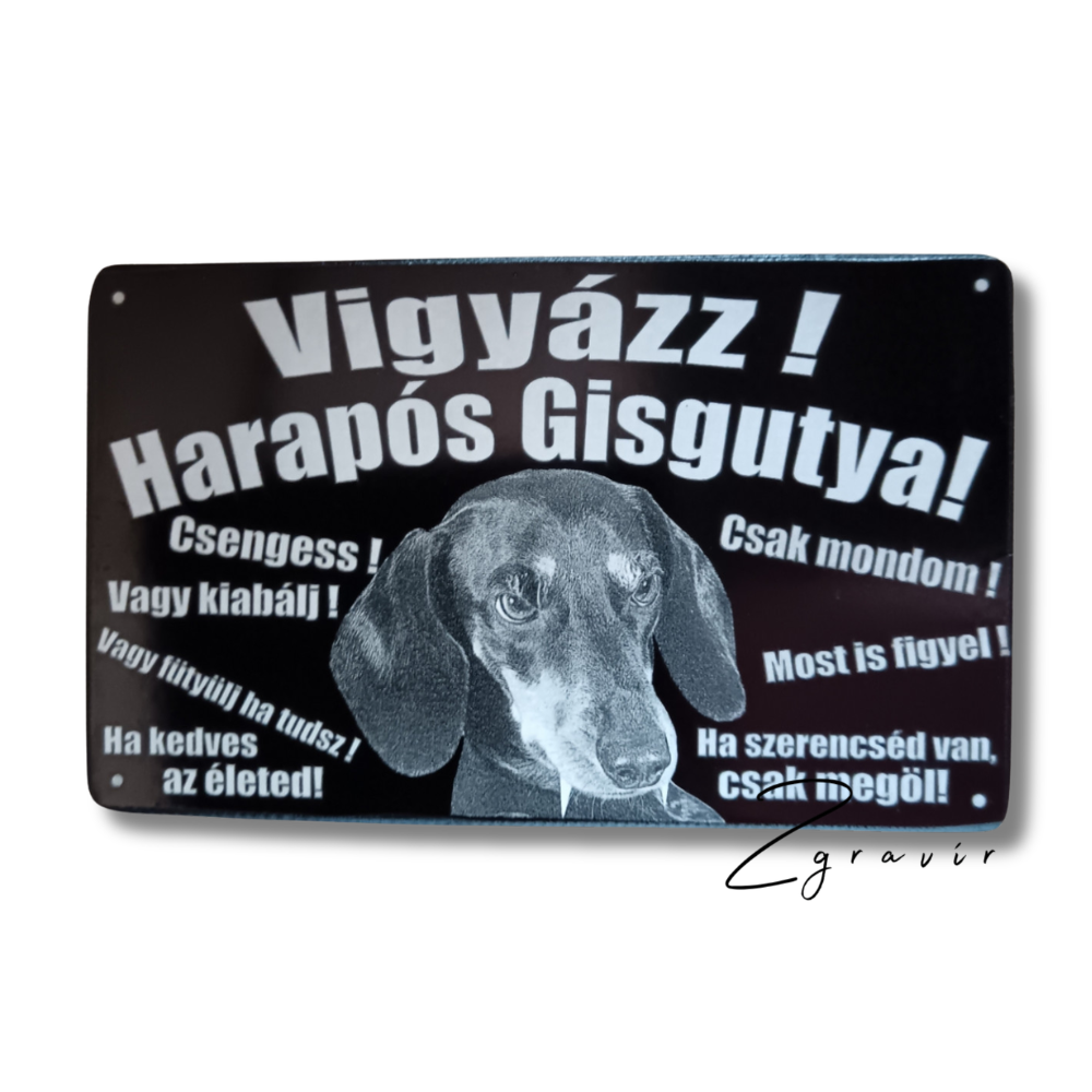 Egyedi figyelmeztető tábla harapós kutyával fém 10x15 cm